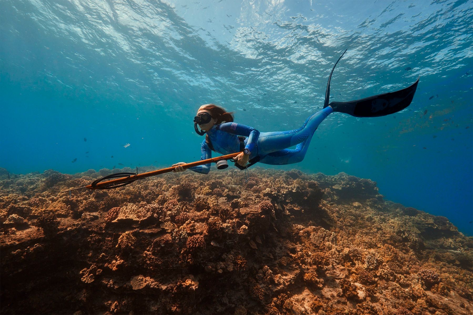 A freediver gliding over a reef, speargun in hand